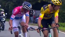 Cycling - Ronde van Vlaanderen 2020 - Julian Alaphilippe nasty crash