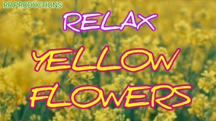 Relax Music with Yellow Flowers