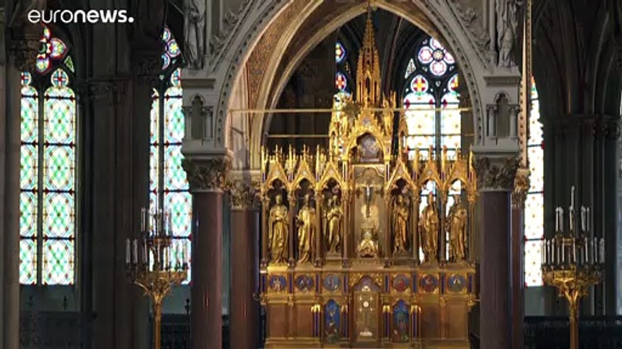 Wiener votivkirche: büffeln an heiliger stätte