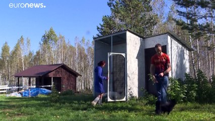 Лиса — друг человека: научный эксперимент в Новосибирске