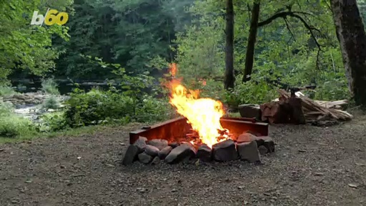 Here Are Some Creative Uses for Dryer Lint! From Mulch to Campfires and So Much More!