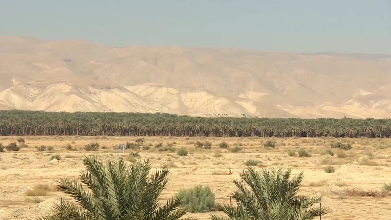 شجعتهم على زراعة الموز.. عودة مياه الأغوار ببلدة العوجا