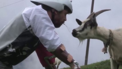 Man Decides To Become A Goat