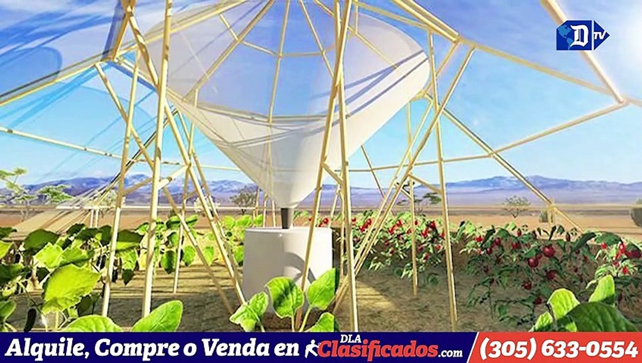 Crean invernadero inteligente que logra que plantas crezcan en el desierto  | La buena Noticia