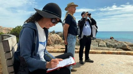 Large pods of blue whales off WA's south coast