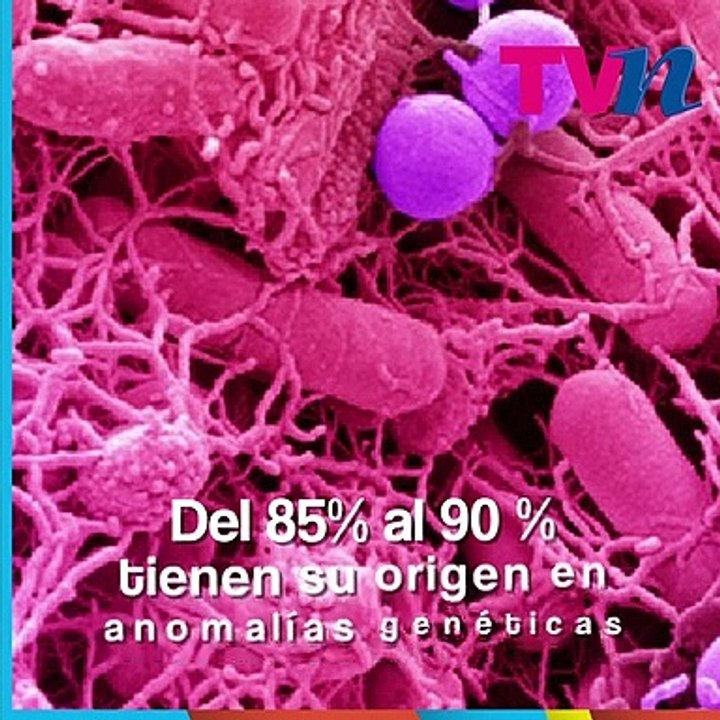 Día Internacional de lucha contra el Cáncer de Mama