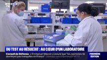 Coronavirus: du test au résultat, comment les laboratoires travaillent-ils?
