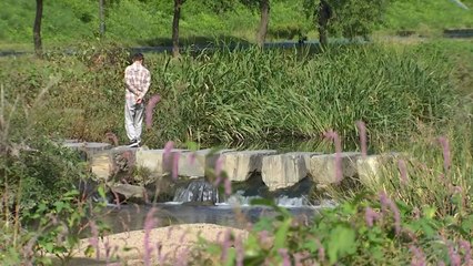 [날씨] 밤사이 중서부 미세먼지↑...큰 일교차 주의 / YTN