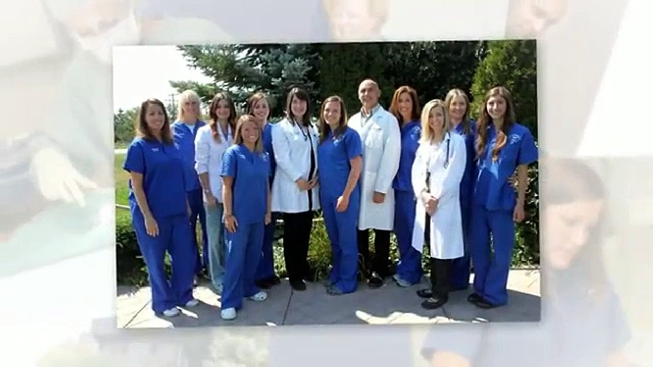 Qualified Animal Hospital in London and North West London