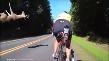 Des cyclistes très chanceux au moment où ils croisent un cerf et une voiture