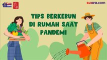 Videografis: Tips Berkebun di Rumah saat  Pandemi