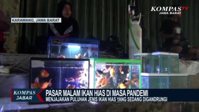 Ikan Hias Mampu Gerakkan Perekonomian Masyarakat