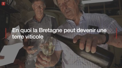 En quoi la Bretagne peut devenir une terre viticole
