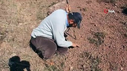 Bayburt'ta fosiller bulunan sit alanı 'kesin korunacak hassas alan' listesine alındı