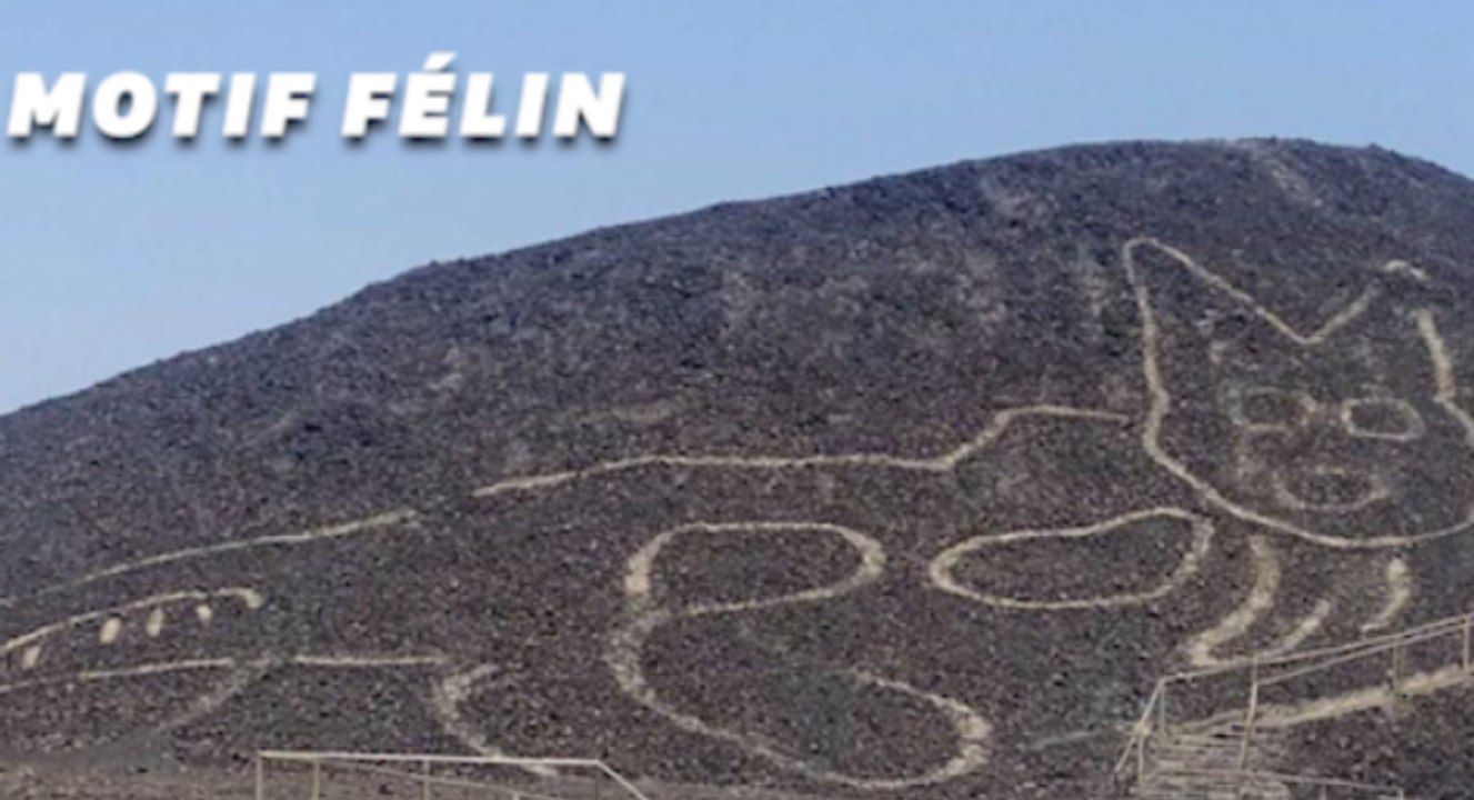 Un dessin de chat découvert sur le site des lignes de Nazca au Pérou