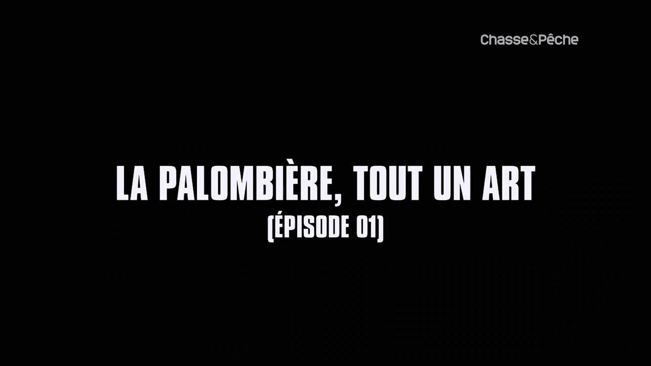 Chasse et Peche,La palombière,tout un art (ép 1)