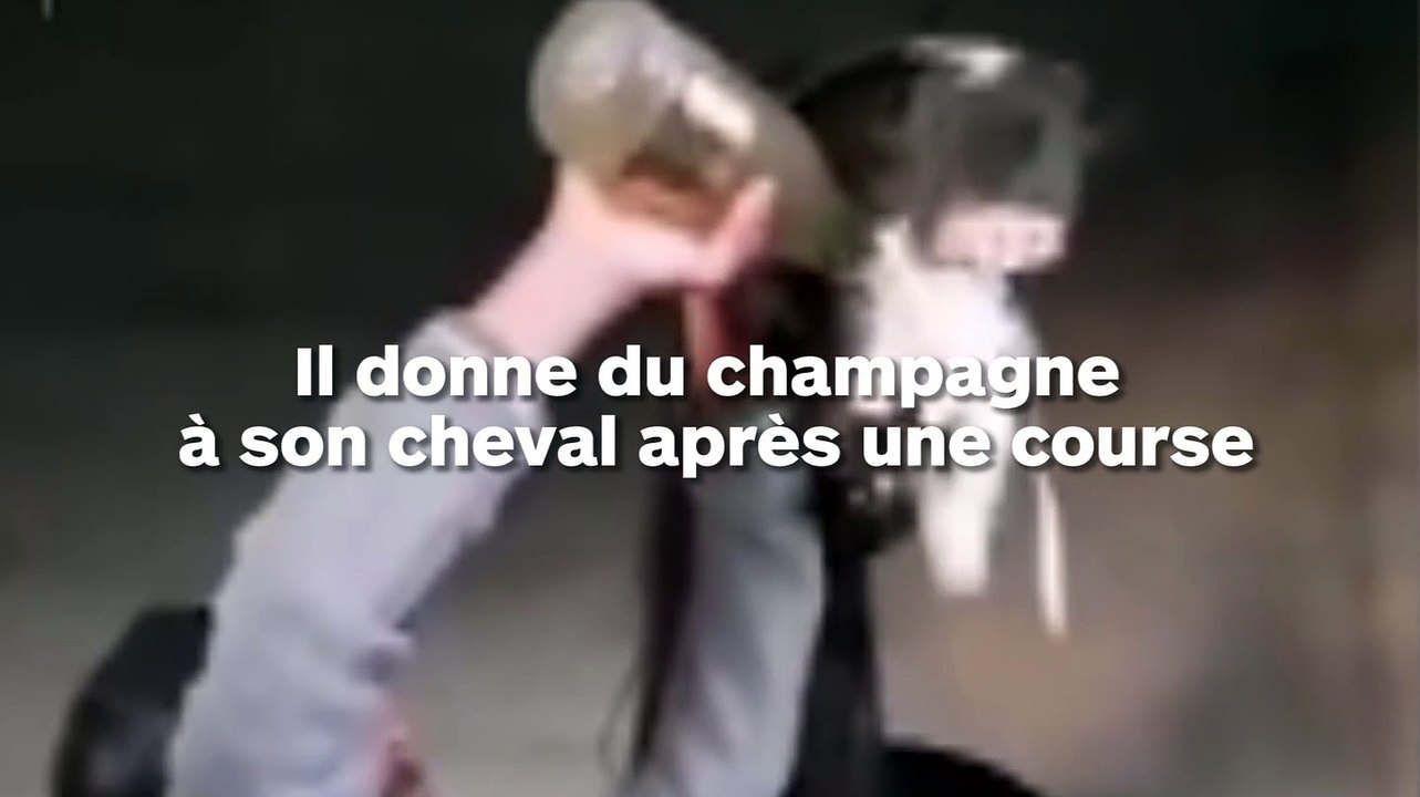 Un homme force un cheval à boire du champagne après une course hippique