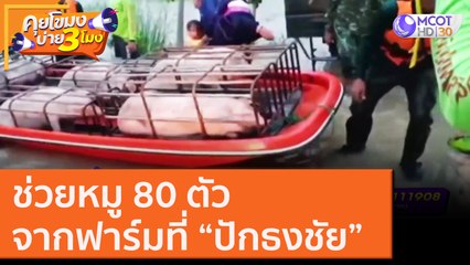 ช่วยหมู 80 ตัว จากฟาร์มที่ “ปักธงชัย” [19 ต.ค. 63] คุยโขมงบ่าย 3 โมง | 9 MCOT HD