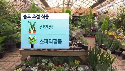 [날씨]내일 미세먼지 나쁨 단계…큰 일교차 대비