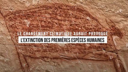 Le changement climatique aurait provoqué l’extinction des premières espèces humaines