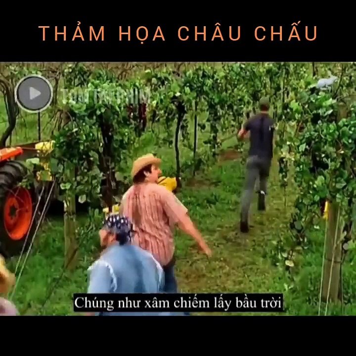 Tóm Tắt Phim Thảm Họa Châu Chấu - Locusts Day Of Destruction (2005)