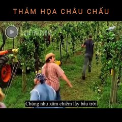 Tóm Tắt Phim Thảm Họa Châu Chấu - Locusts Day Of Destruction (2005)