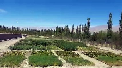 8 साल बाद लेह स्थित काजरी का क्षेत्रीय केंद्र तैयार, दिवाली से पहले होगा उद्घाटन