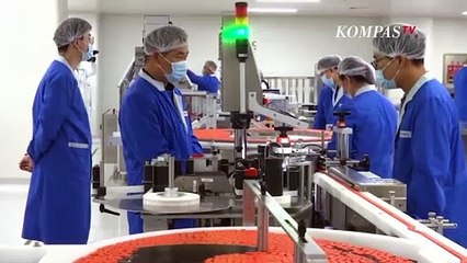 Belum Ada Data Tentang Berapa Lama Daya Tahan Imunitas yang Diberikan Vaksin Covid-19