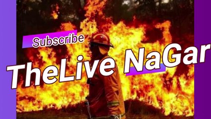 Babu Pujari Burned Alive In karauli Rajasthan | पुँरी को जिन्दा जला कर मर दिया | TheLive Nagar