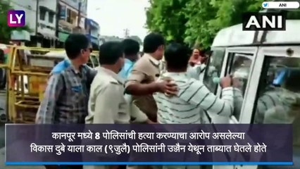 Download Video: Vikas Dubey Dead: Kanpur मध्ये पोलिसांवर गोळ्या झाडलेला गुंड विकास दुबे पोलिस चकमकीत ठार