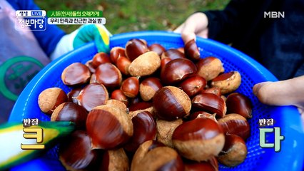 밤밤밤이 왔어요~♬ 가을 하면 밤이쥬~