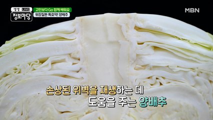 ┏위 건강 찾은 '위'대한 밥상┛