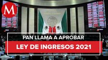 PAN llama a aprobar Ley de Ingresos en 2021 con finanzas públicas sanas y sin deuda