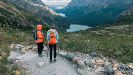 The Best Time to Visit Glacier National Park for Wildlife Spotting Without the Crowds