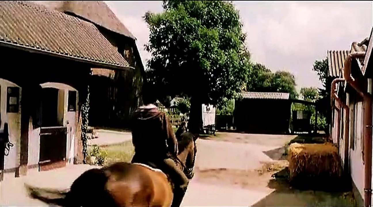 Sommer special: ausschnitt 2 (2008)