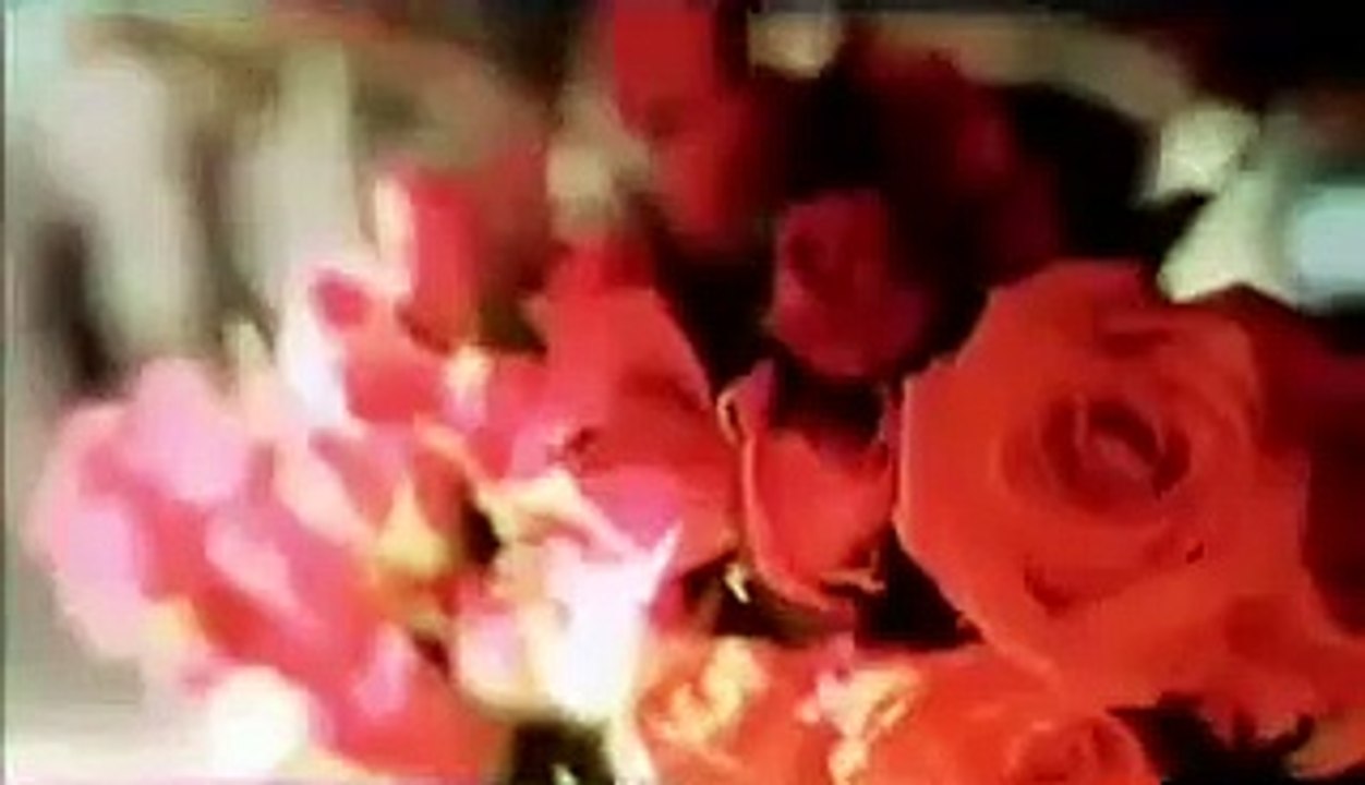 The Elephant King Film Trailer (2008)