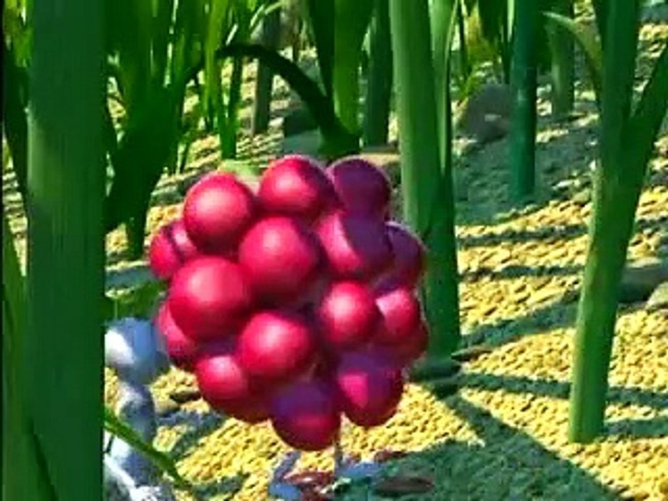 Disneys Wahre Helden auf DVD Trailer (2008)