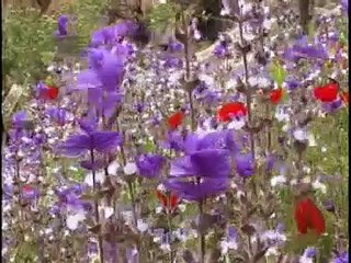 Und Macht Euch Die Erde Untertan Film Trailer (2008)