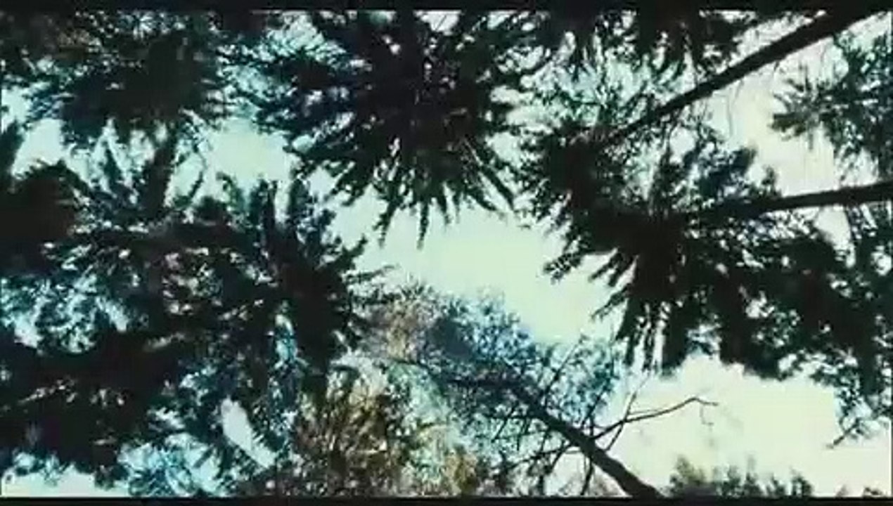 10 Sekunden Film Trailer (2008)