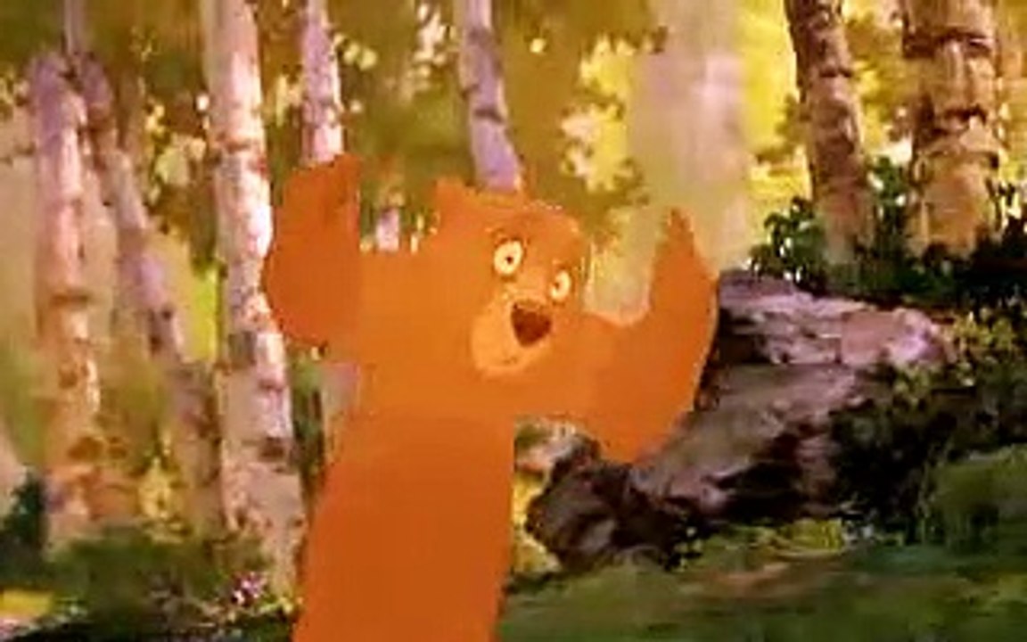 Der bär ist los film trailer