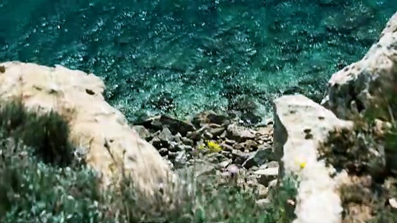 Kommissar bellamy film trailer (2009)