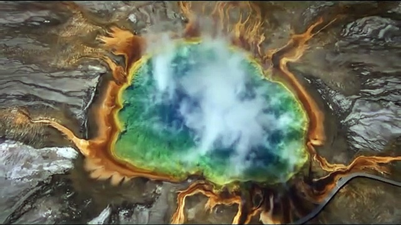 HOME - DAS Medienereignis zum WELT-UMWELTTAG  (2009)