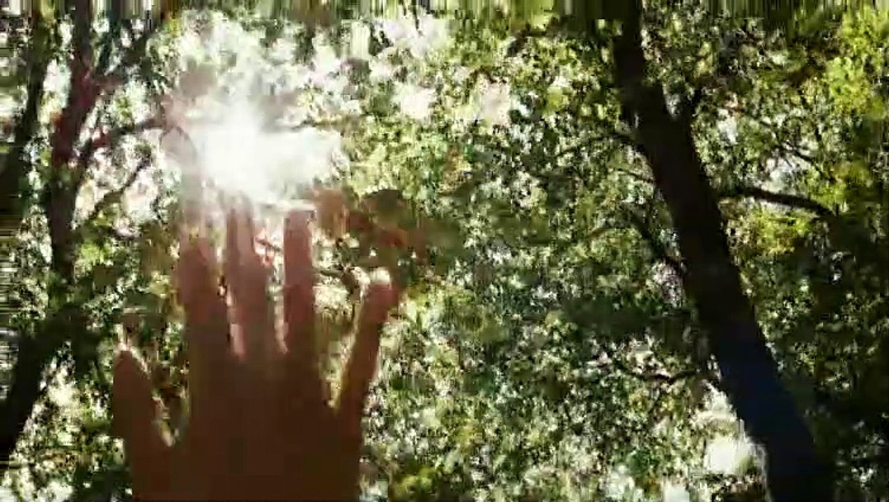 Die kommenden tage film trailer (2009)