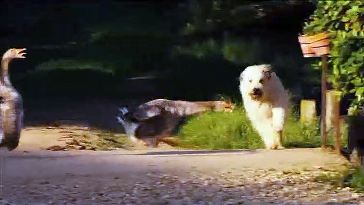 Die Wilde Farm Film Trailer (2010)