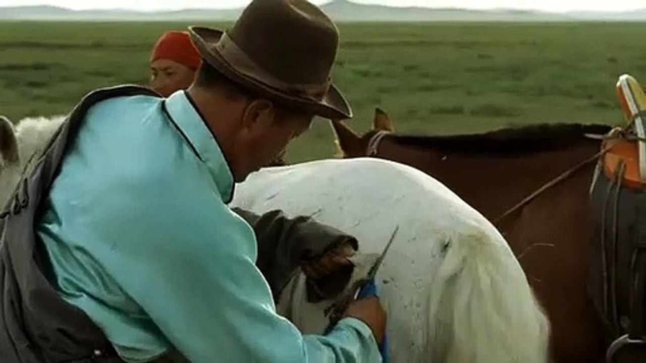 Das Lied Von Den Zwei Pferden Film Trailer (2010)