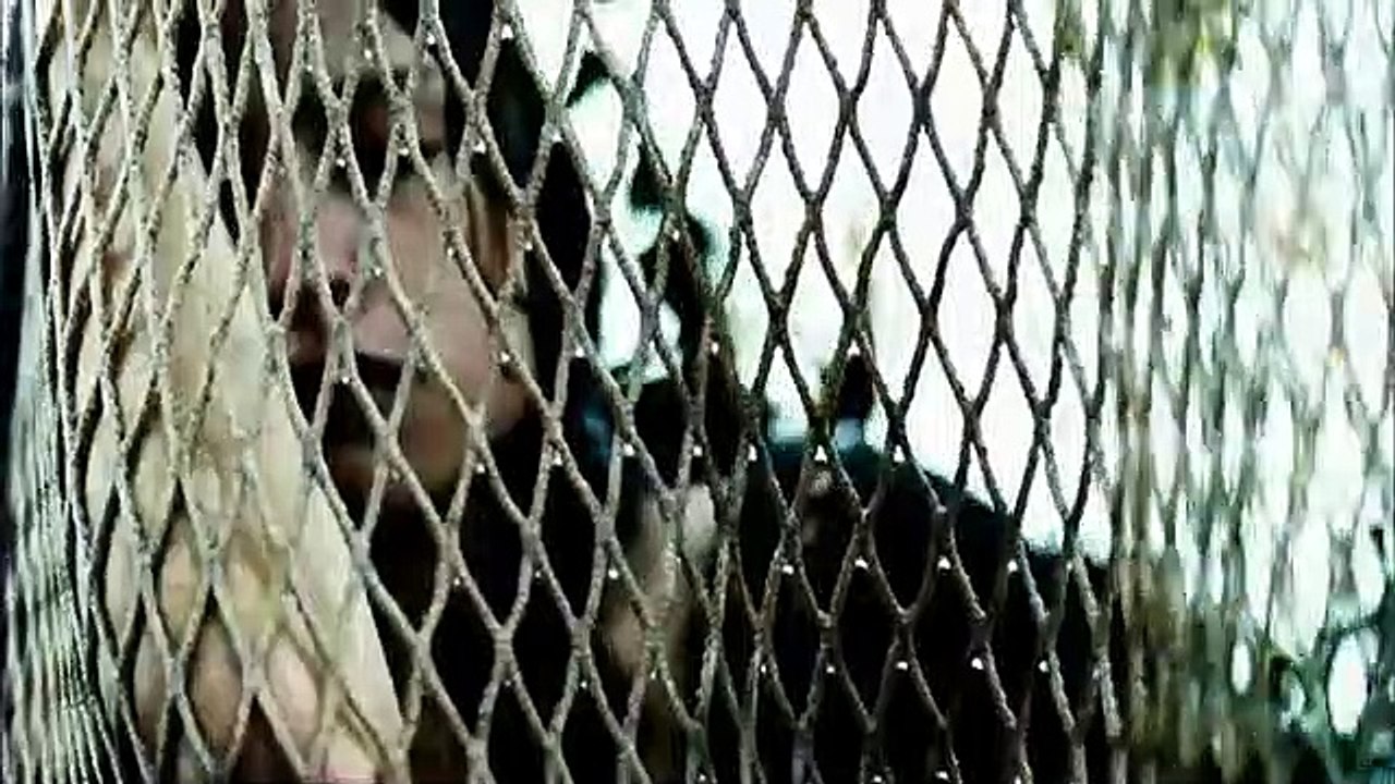 Ondine Film Trailer - Das Mädchen Aus Dem Meer (2010)