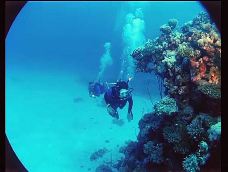 Arabia 3D Film Trailer (2010)