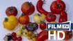 Good Food Bad Food Kino Film Trailer - Anleitung für eine bessere Landwirtschaft (2011) - Trailer