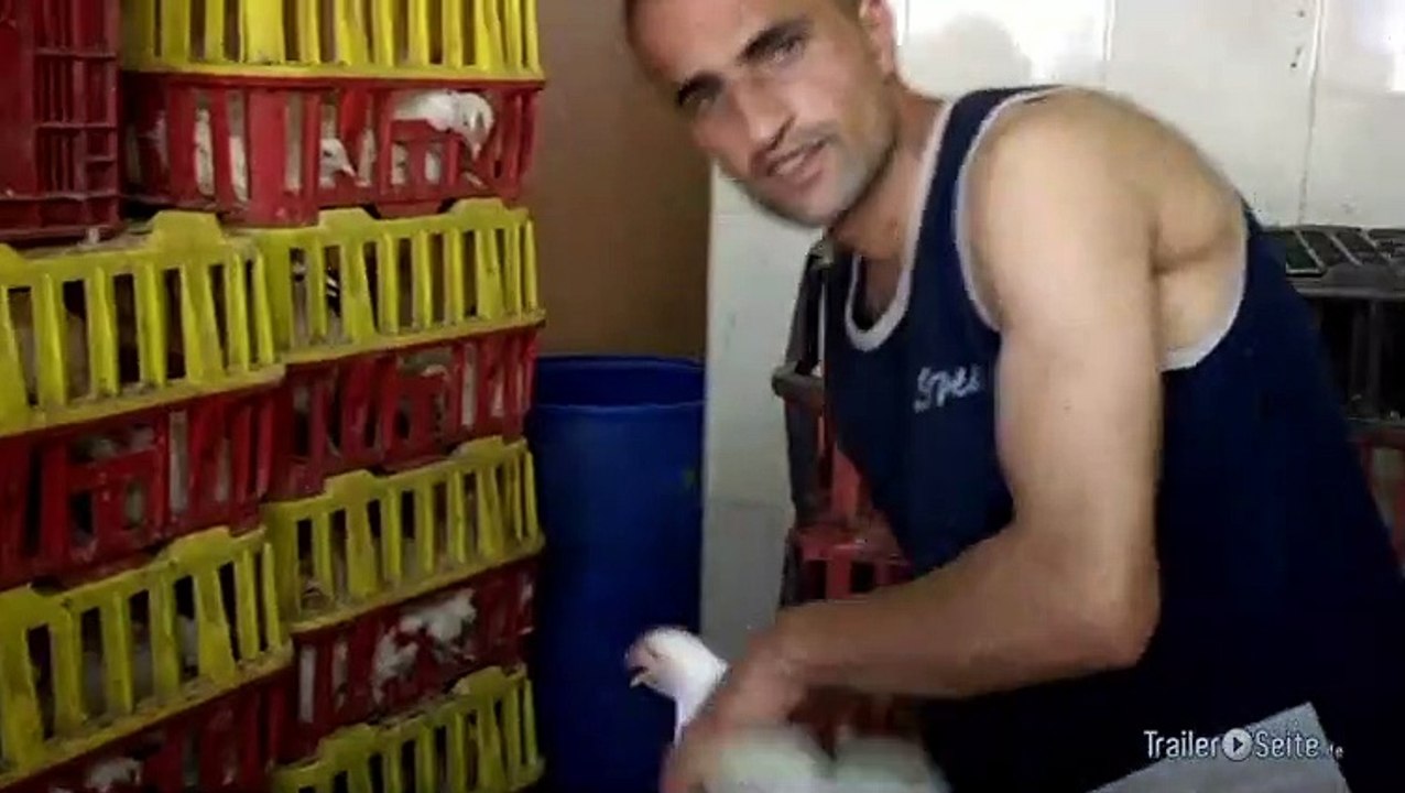 Kinder Der Steine - Kinder Der Mauer Trailer (2011)