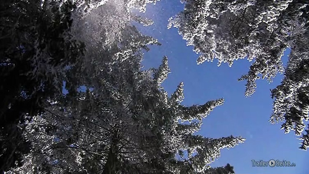 For Senses 2 Blu-ray Trailer (2011)